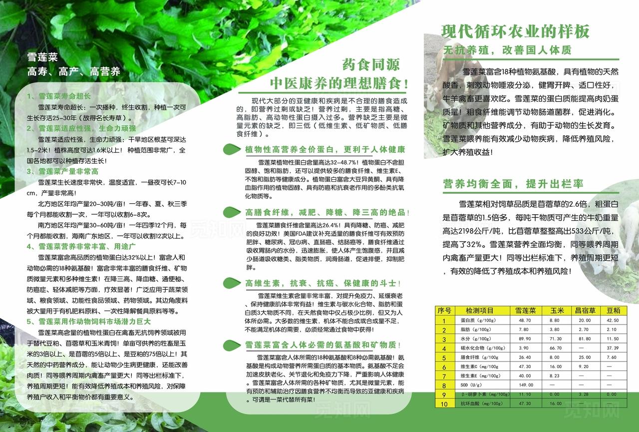 绿色三折页图片