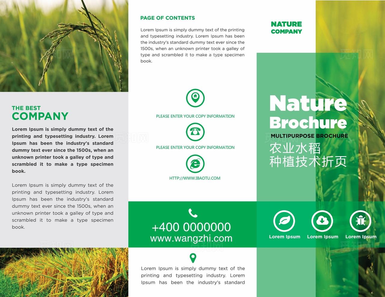 农业三折页图片