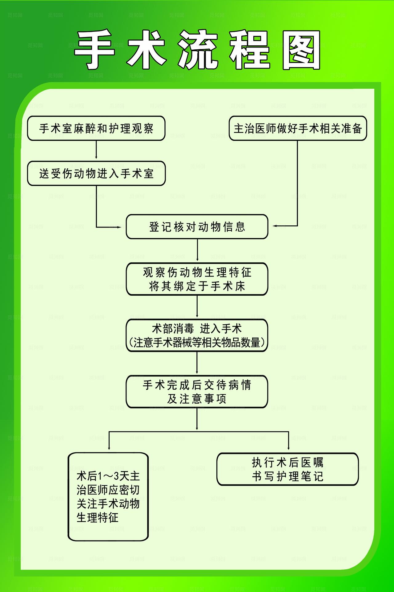 手术流程图图片