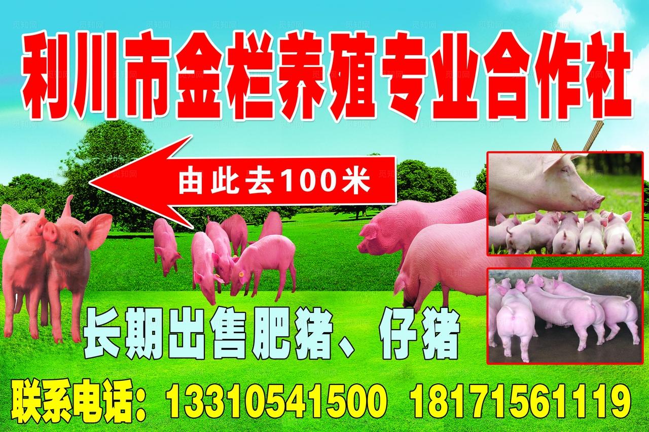 养殖专业合作社图片