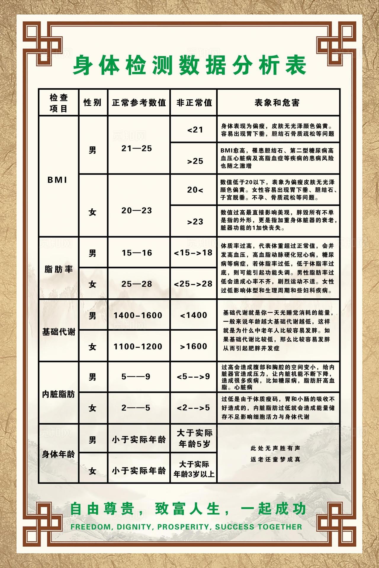 身体检测数据分析表图片
