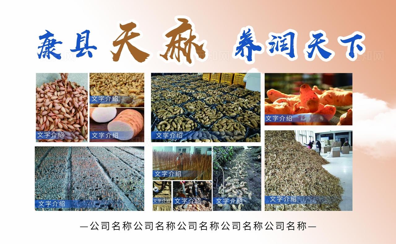 土特产展板图片