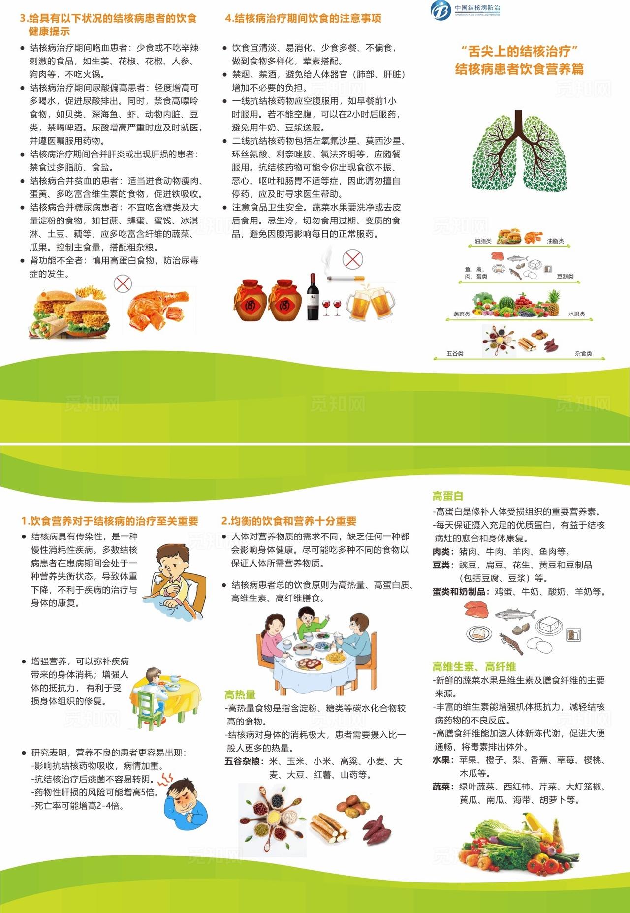 结核病 三折页图片