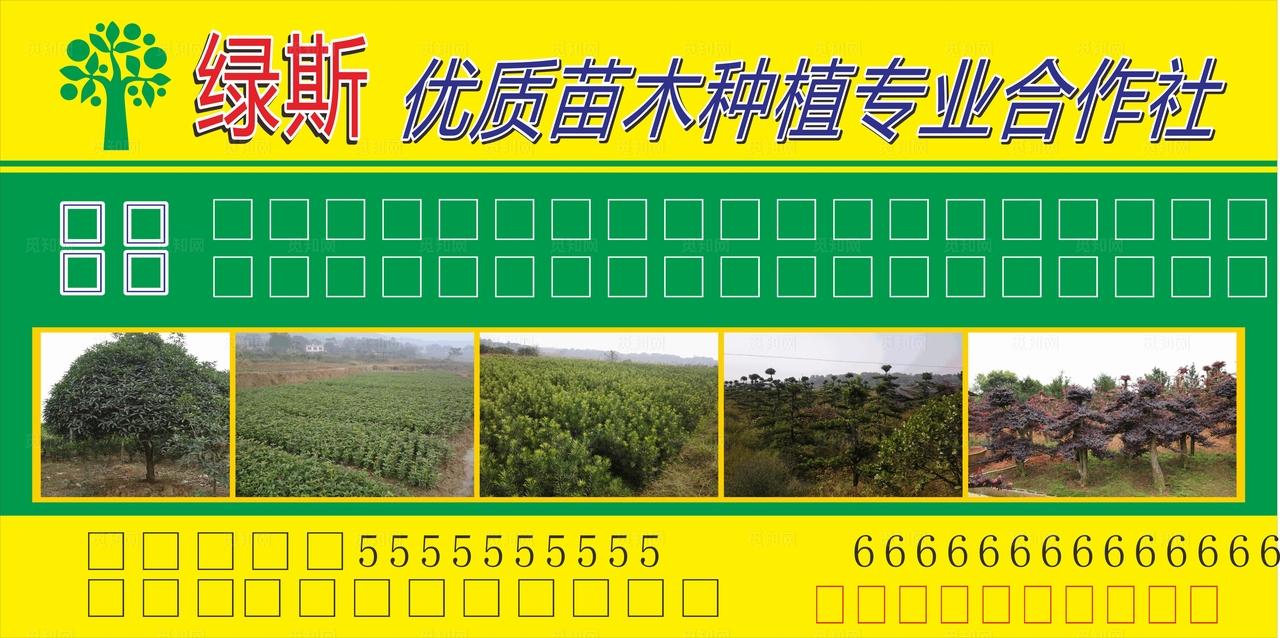 苗木种植合作社图片