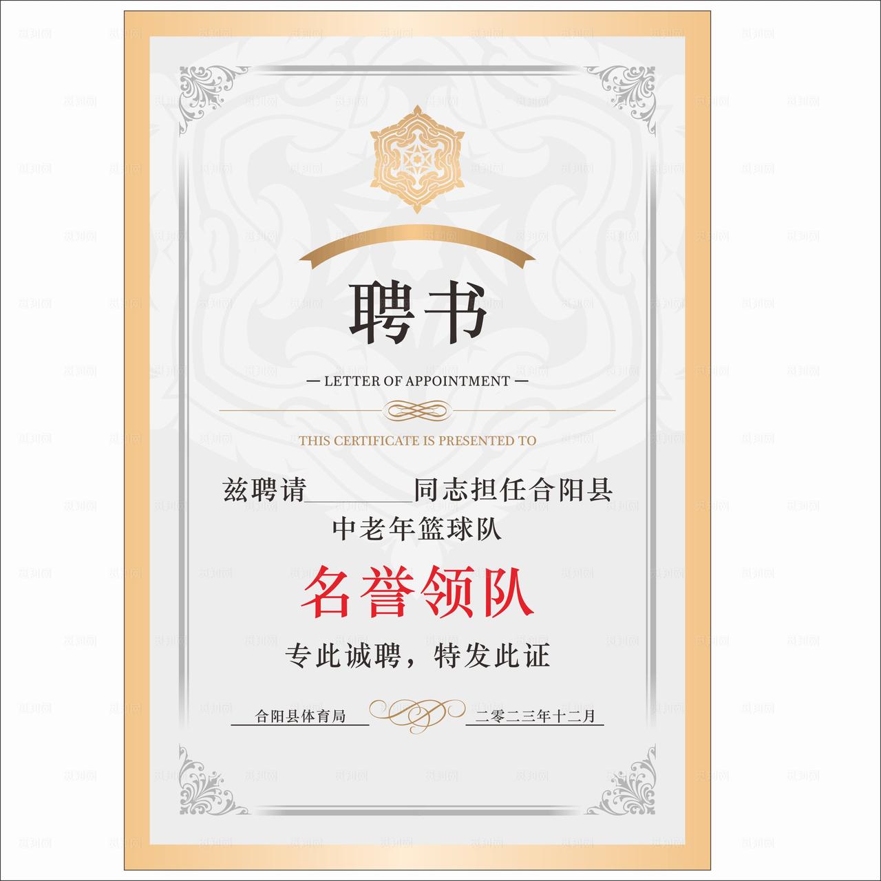 聘书 名誉领队图片