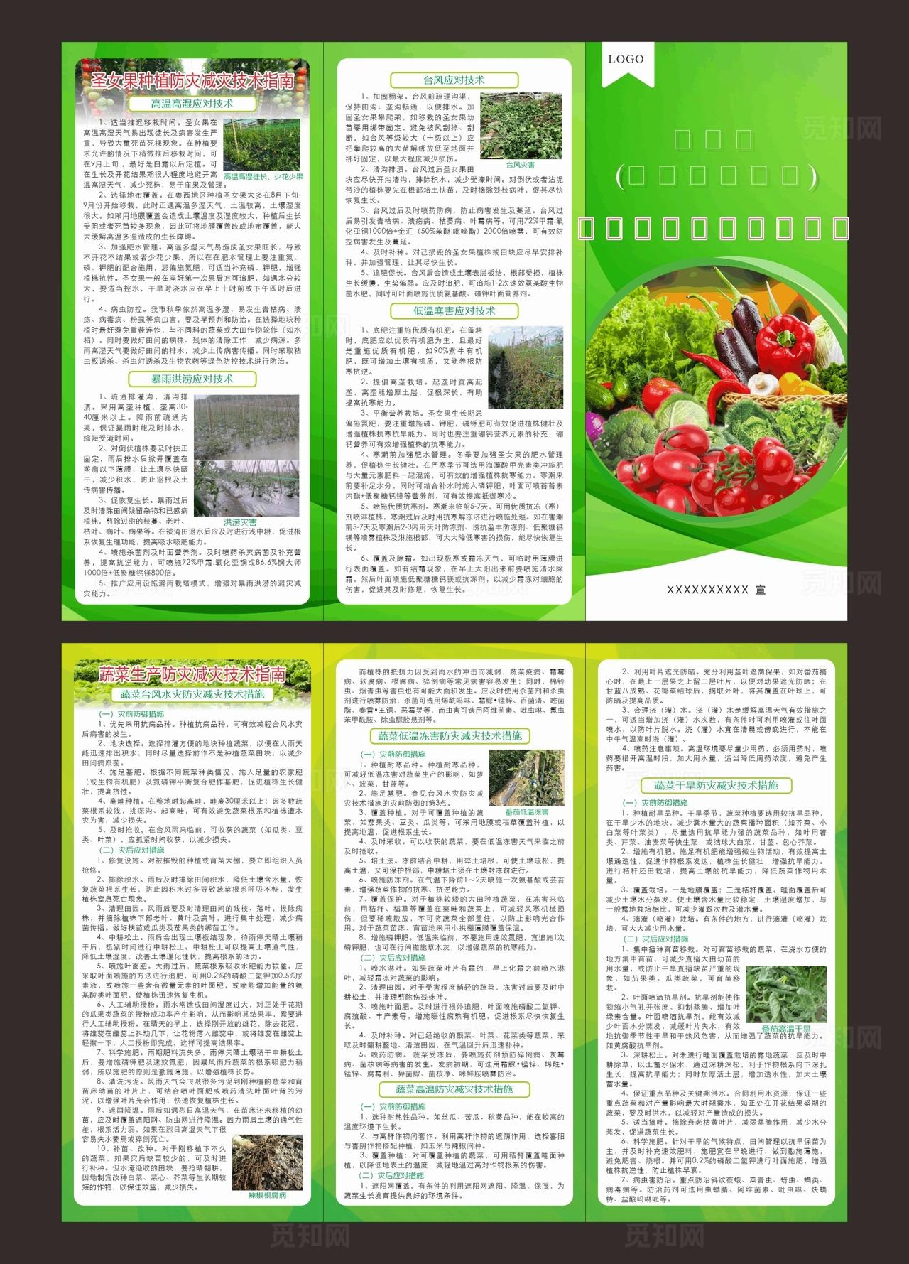 果蔬类应对自然灾害技术指南折页图片
