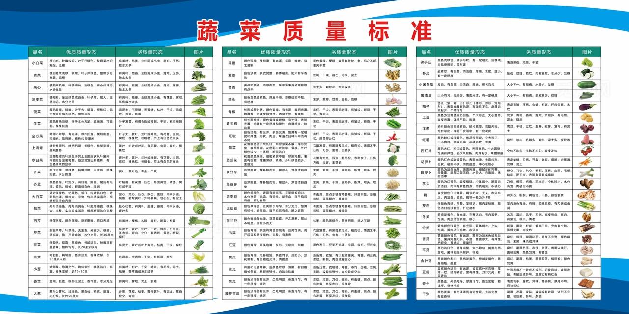 蔬菜质量标准图片