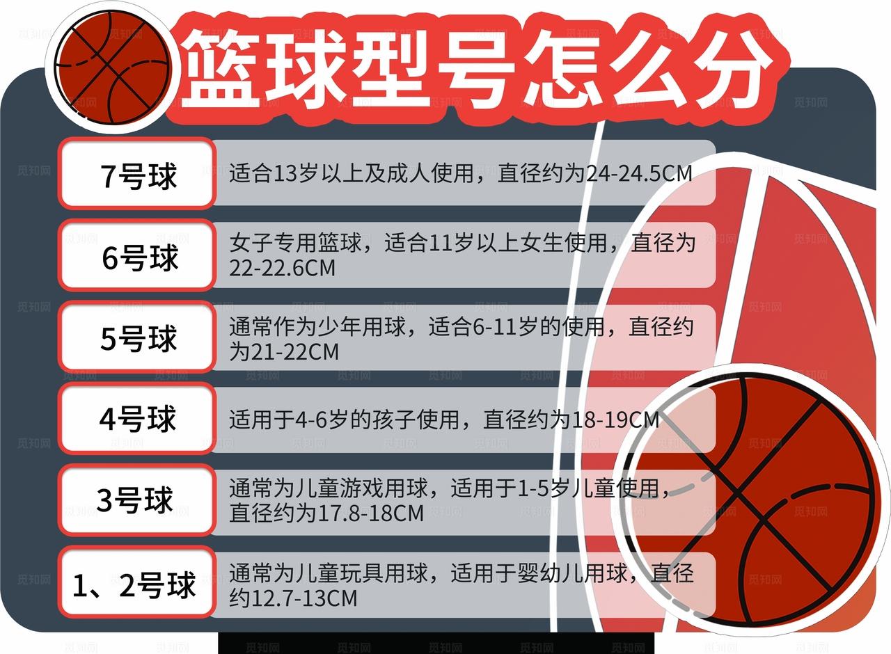 篮球型号大小图片