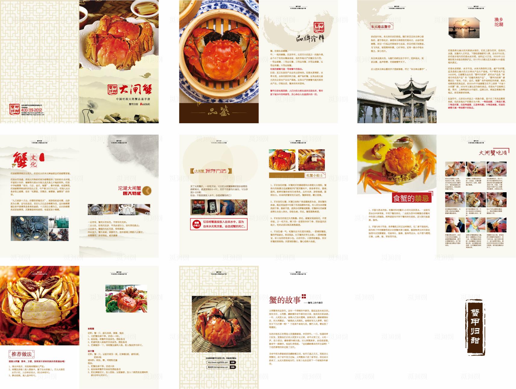 大闸蟹画册图片