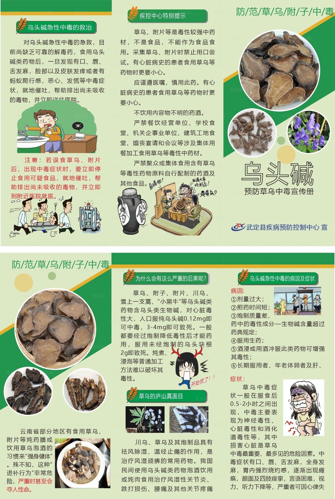 预防草乌中毒宣传手册图片