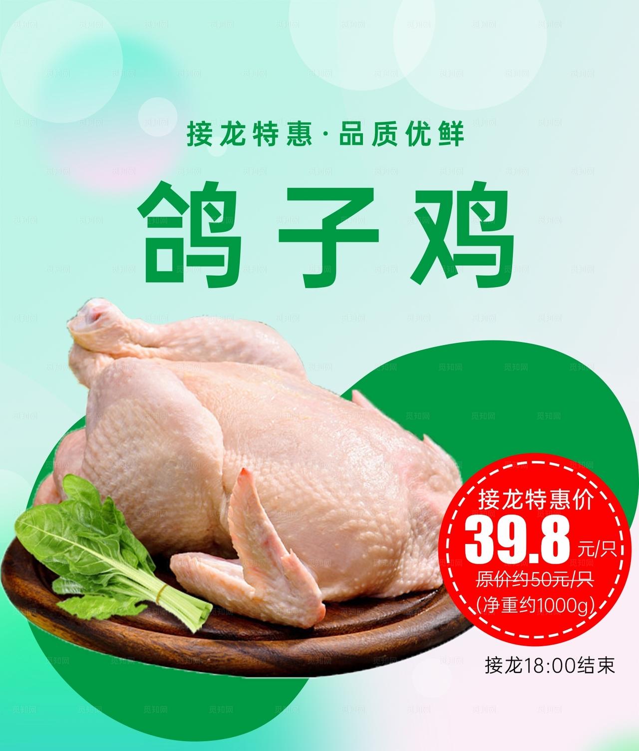 社区团购鸽子鸡海报图片