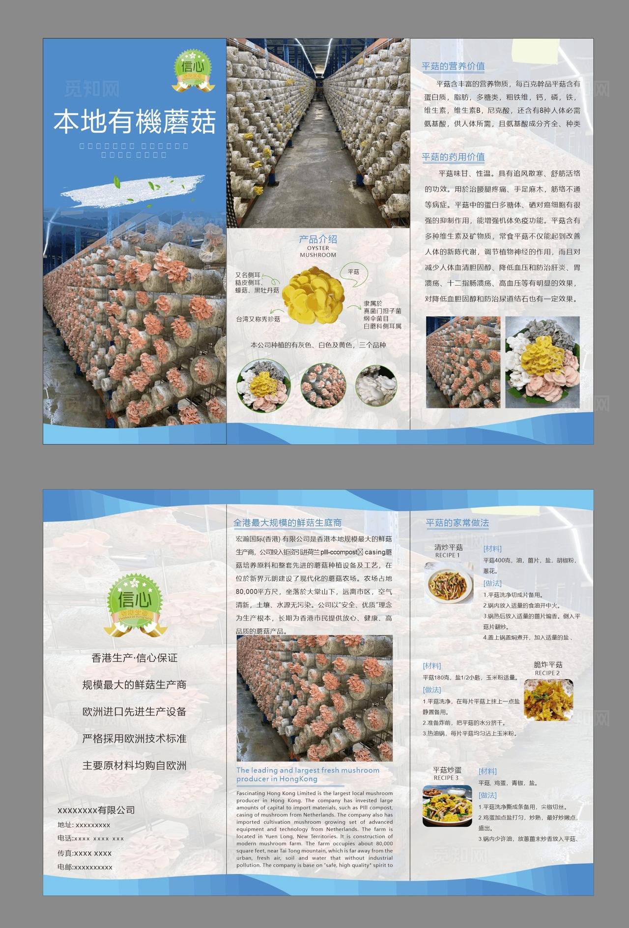 平菇三折页图片