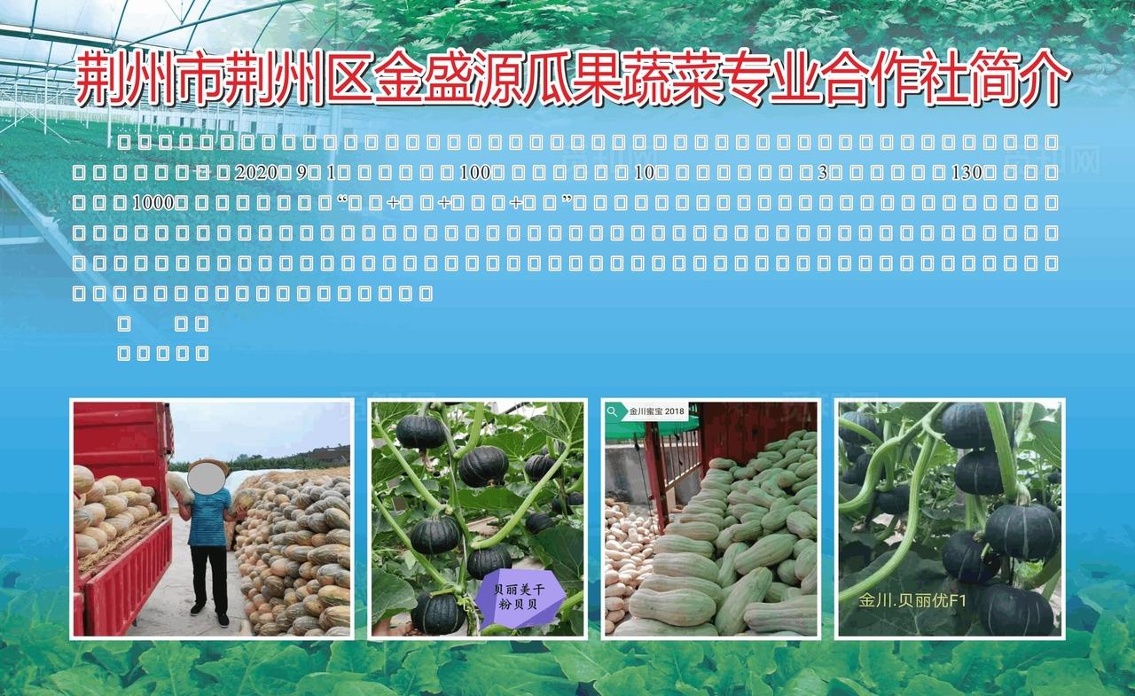 金盛源瓜果蔬菜专业合作社图片
