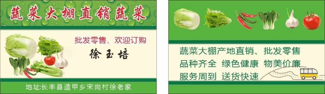 蔬菜大棚直销蔬菜图片