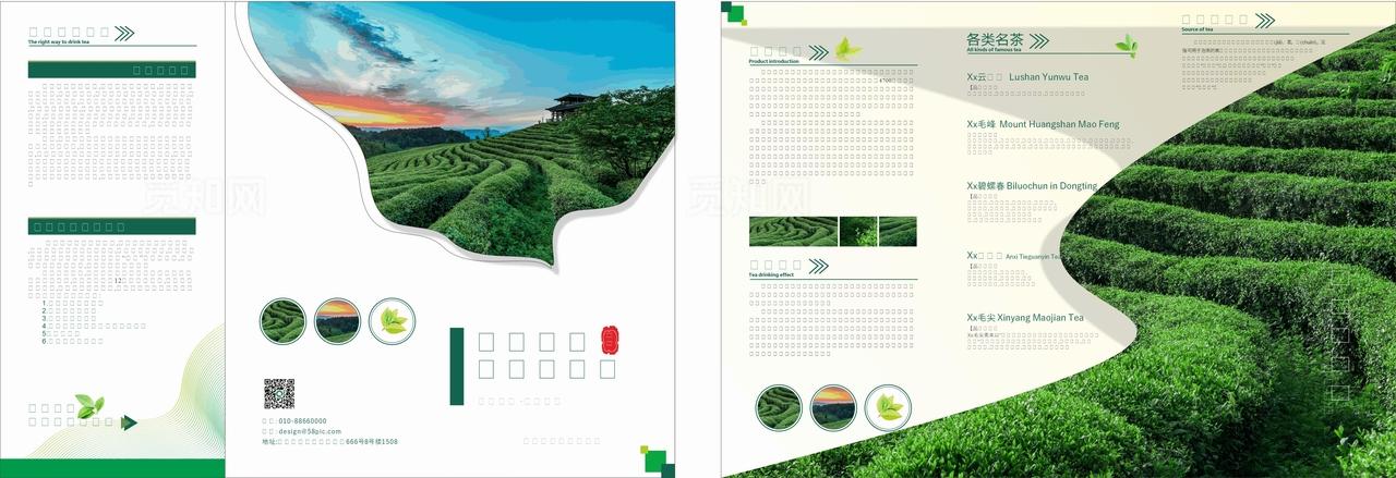 茶叶三折页图片