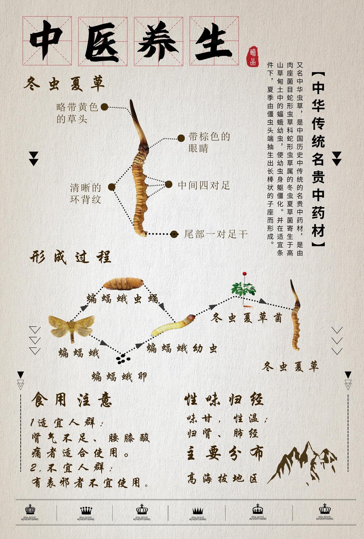 中医养生药材图示图片