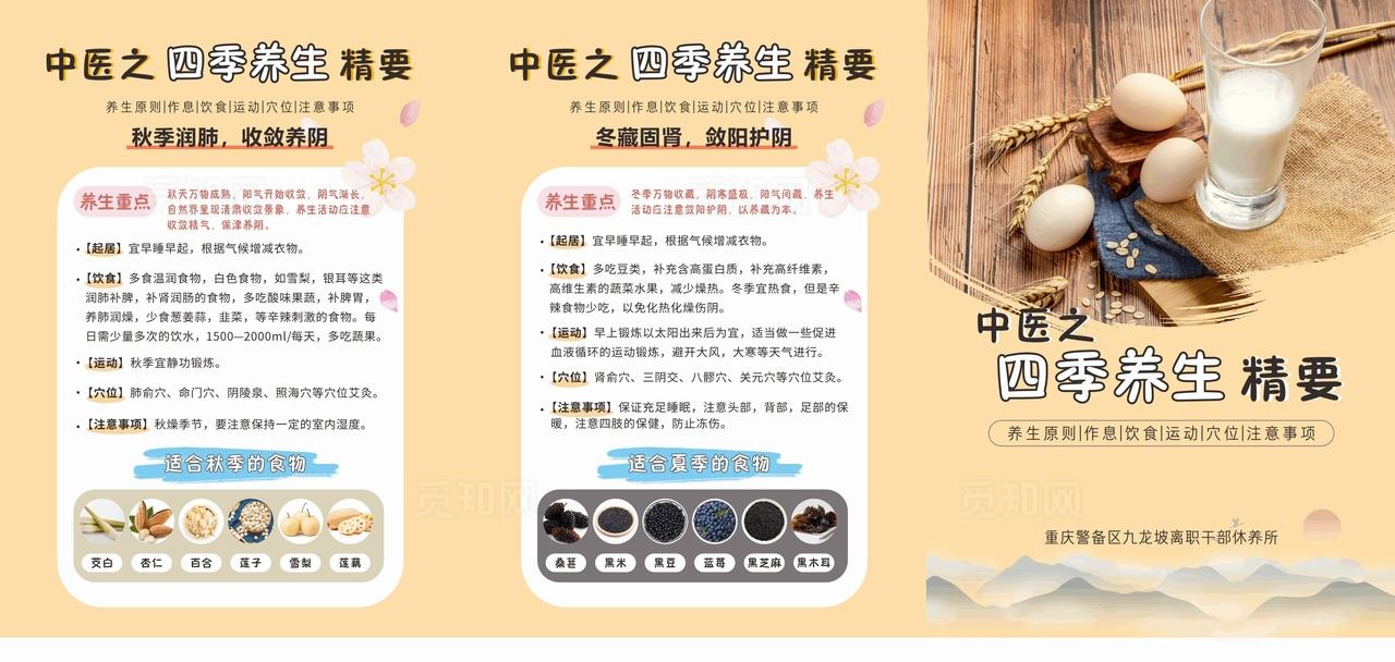 中医四季养生折页图片