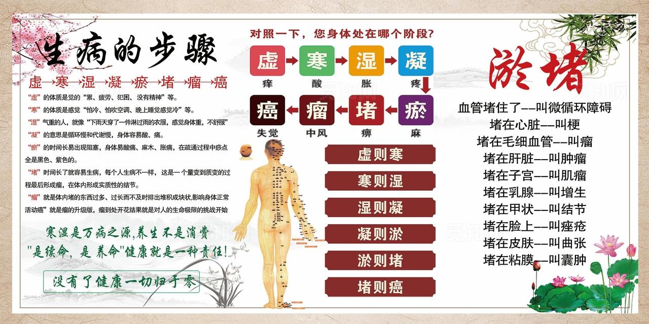 中医经络养生知识海报图片