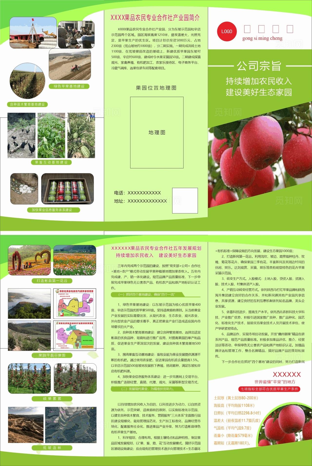 苹果三折页图片