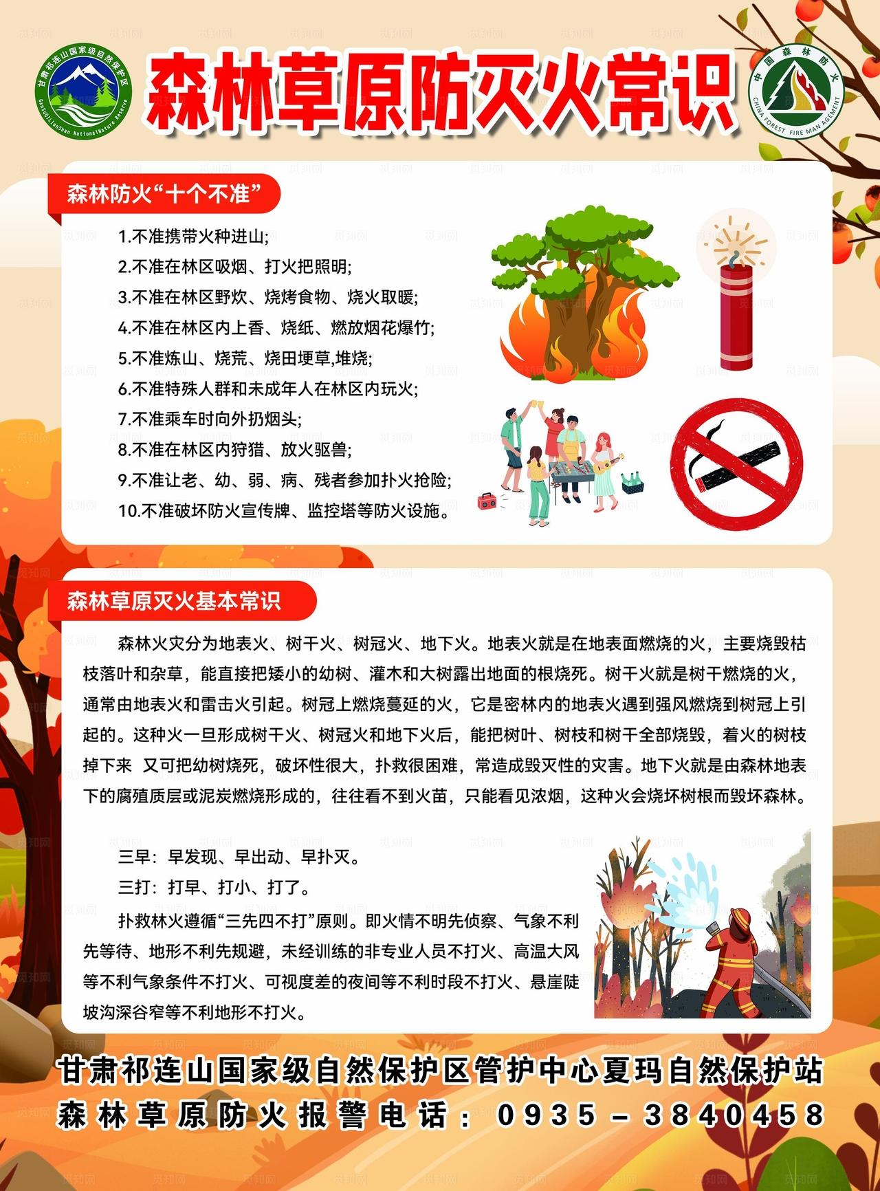 森林防火安全知识宣传DM图片