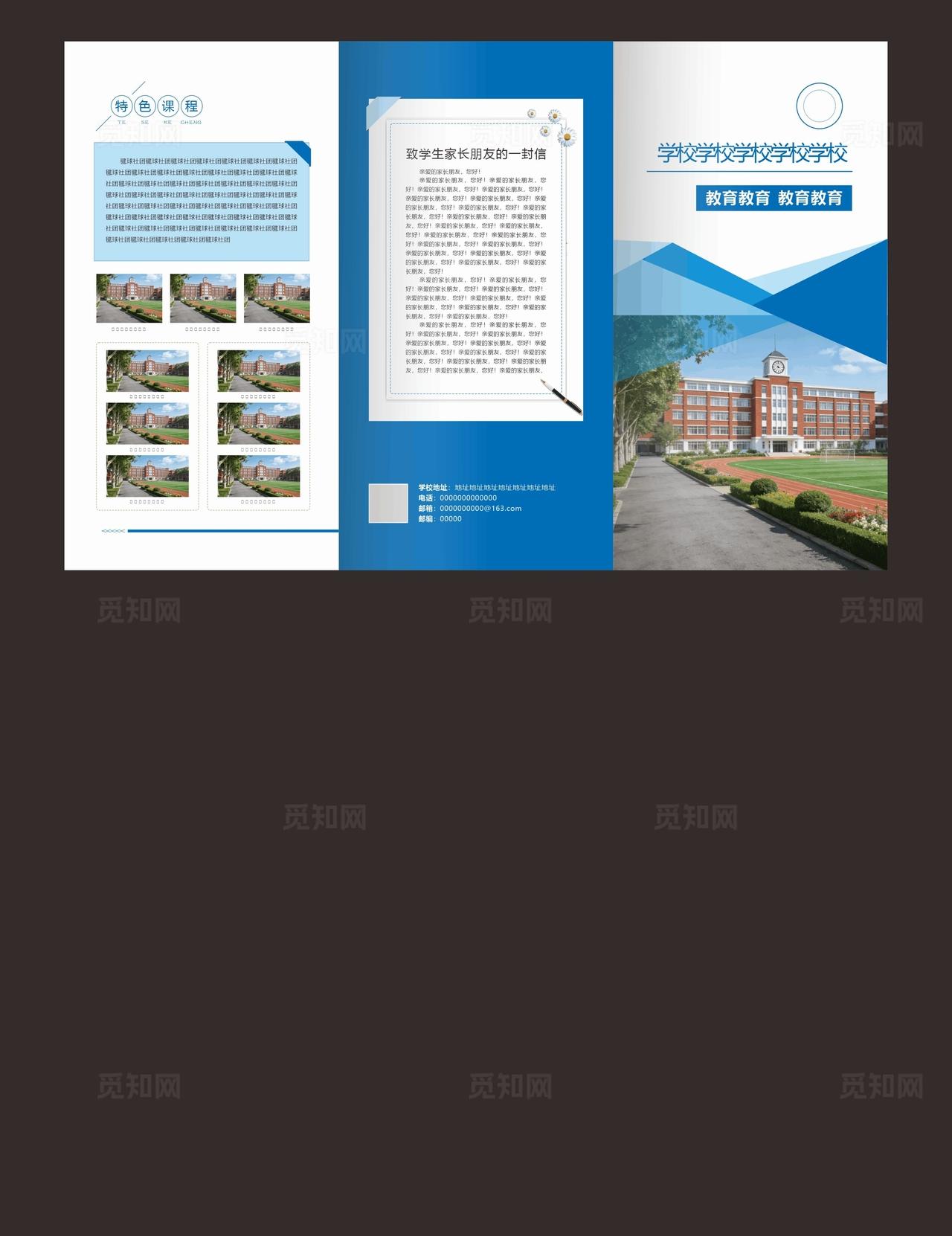 学校折页   蓝色    图片