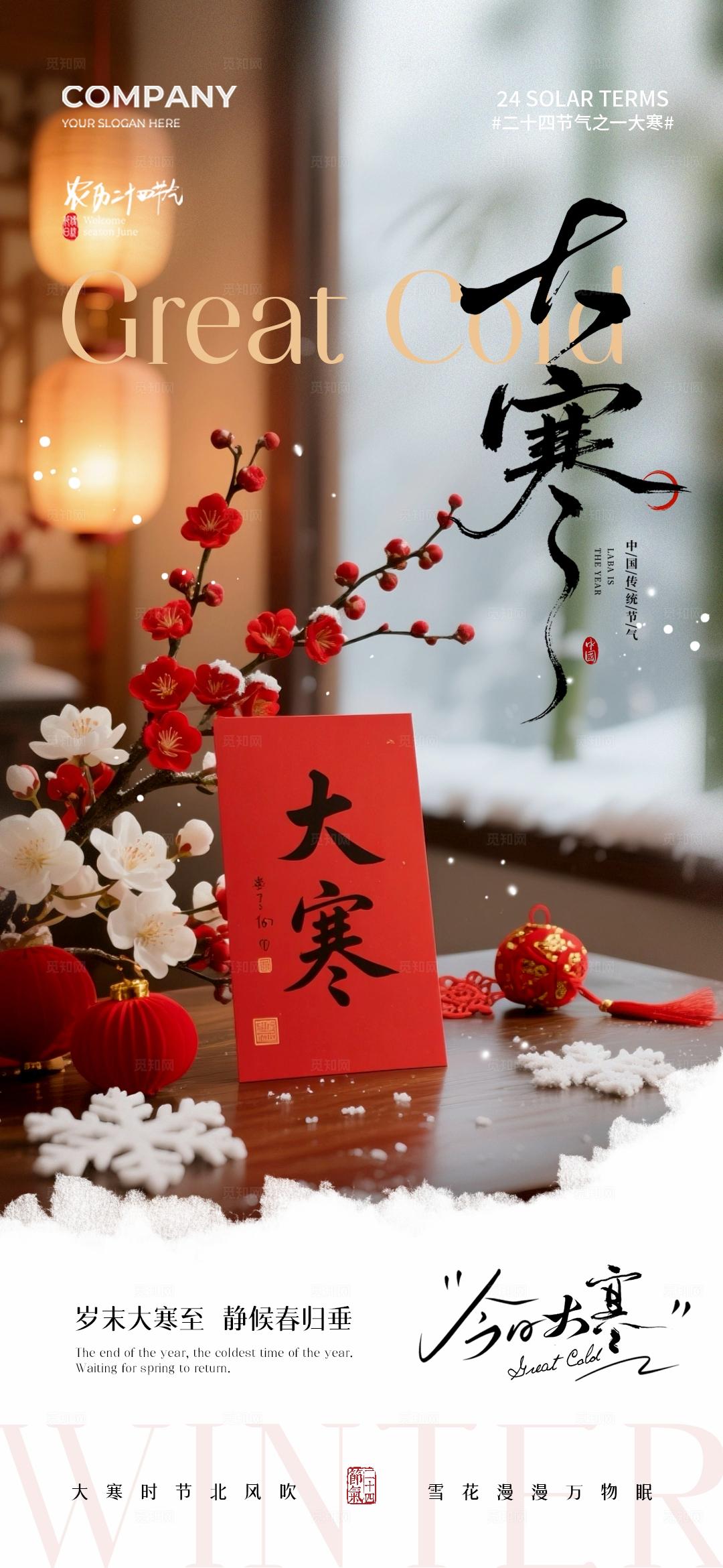 红色实拍风二十四节气大寒节气手机宣传海报