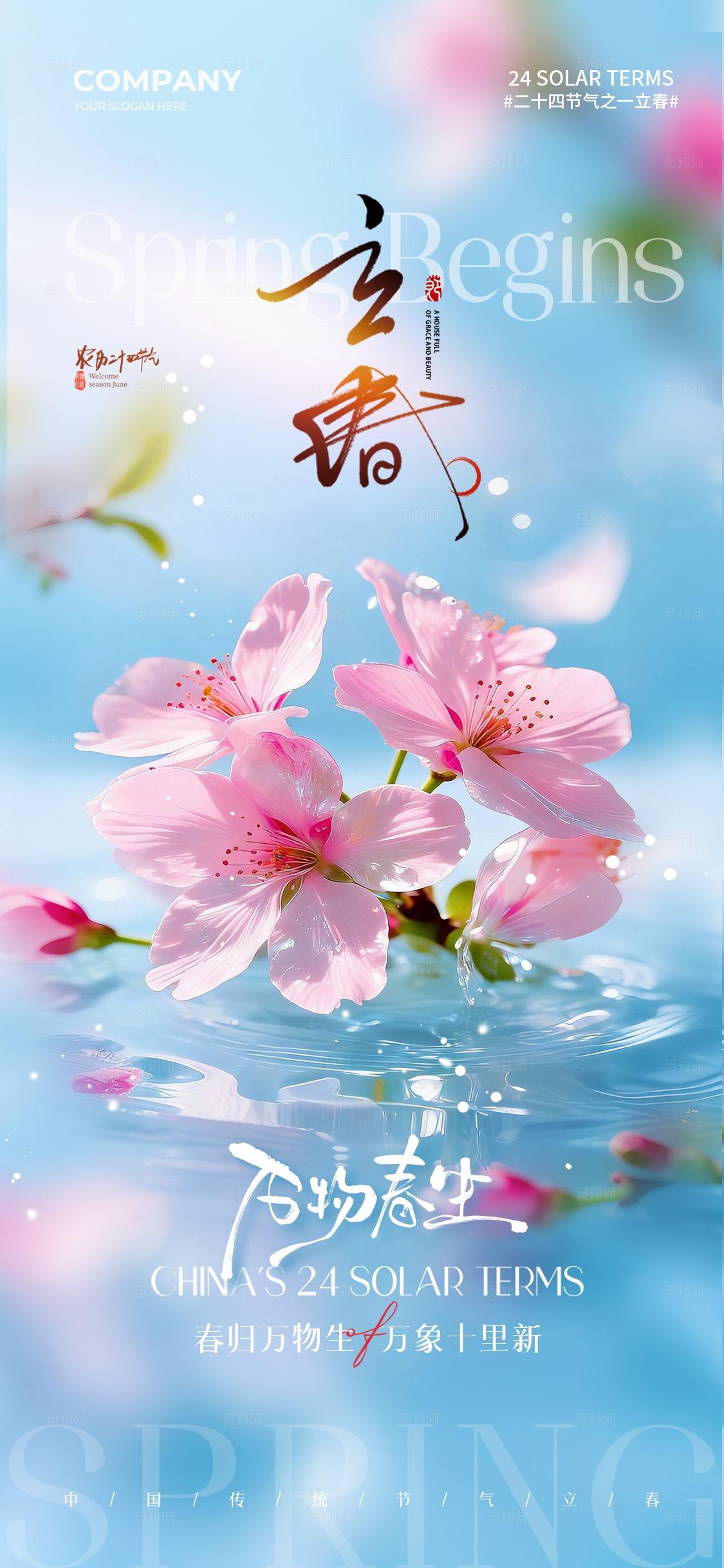 实拍风2026迎春花二十四节气立春手机宣传海报