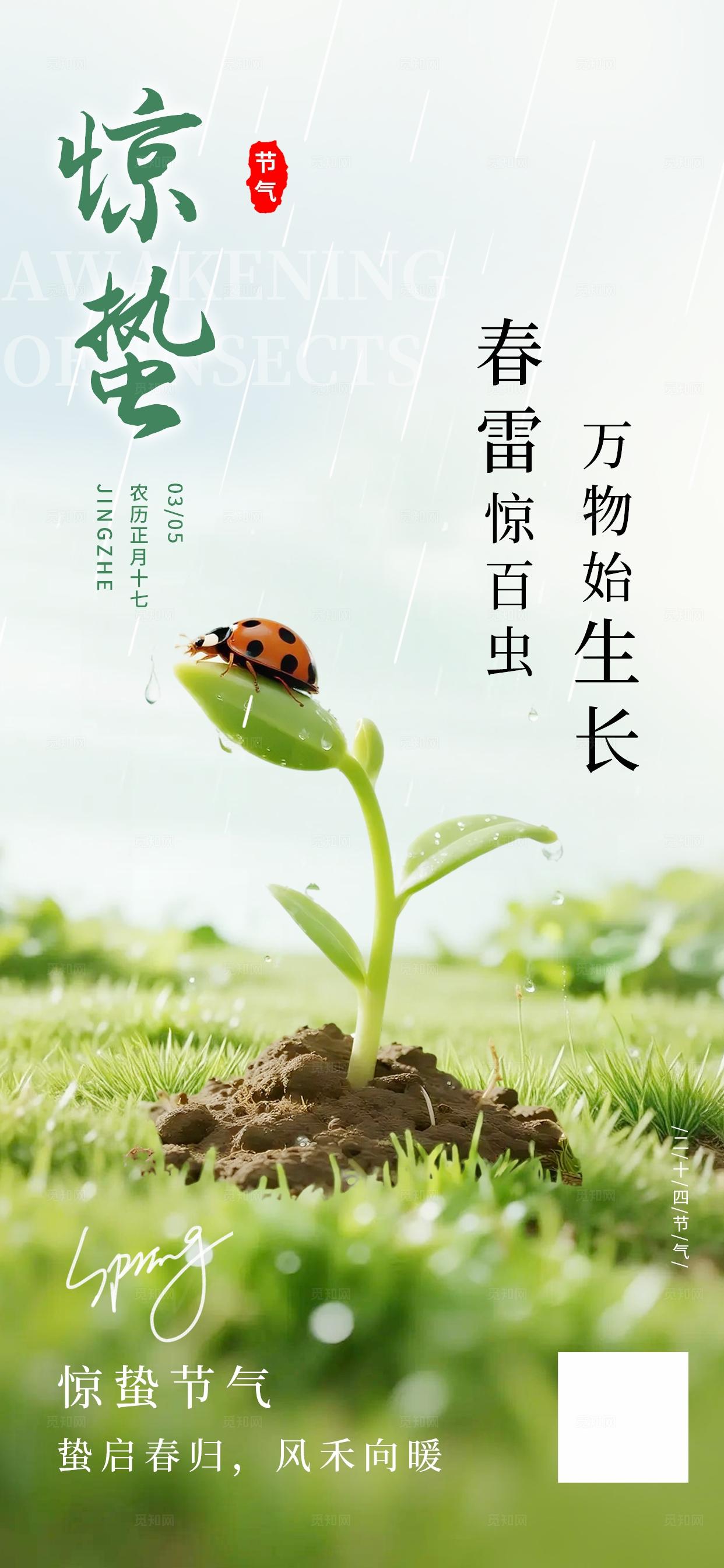 绿色清新惊蛰节气二十四节气创意海报