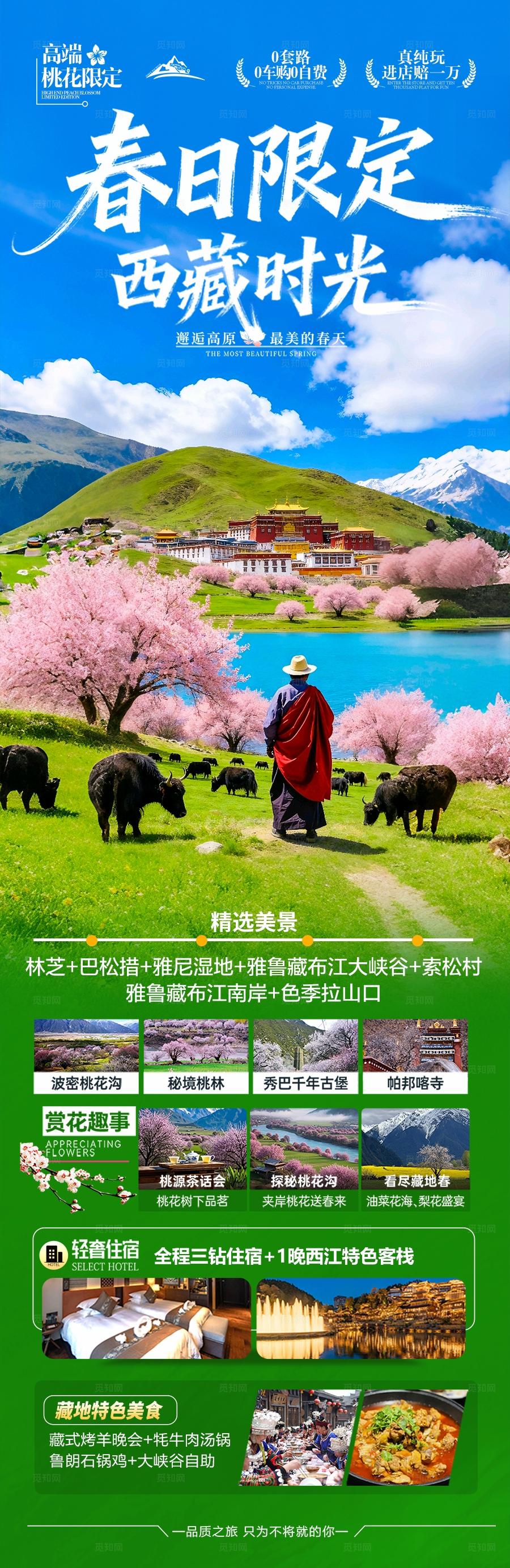 西藏桃花旅游海报春季春天桃花赏花林芝