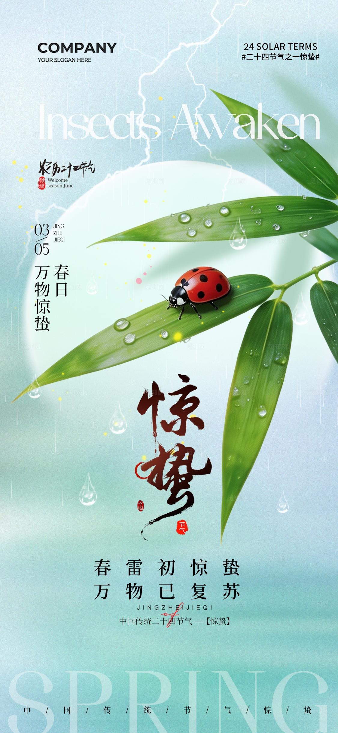 简约二十四节气惊蛰节气手机宣传海报