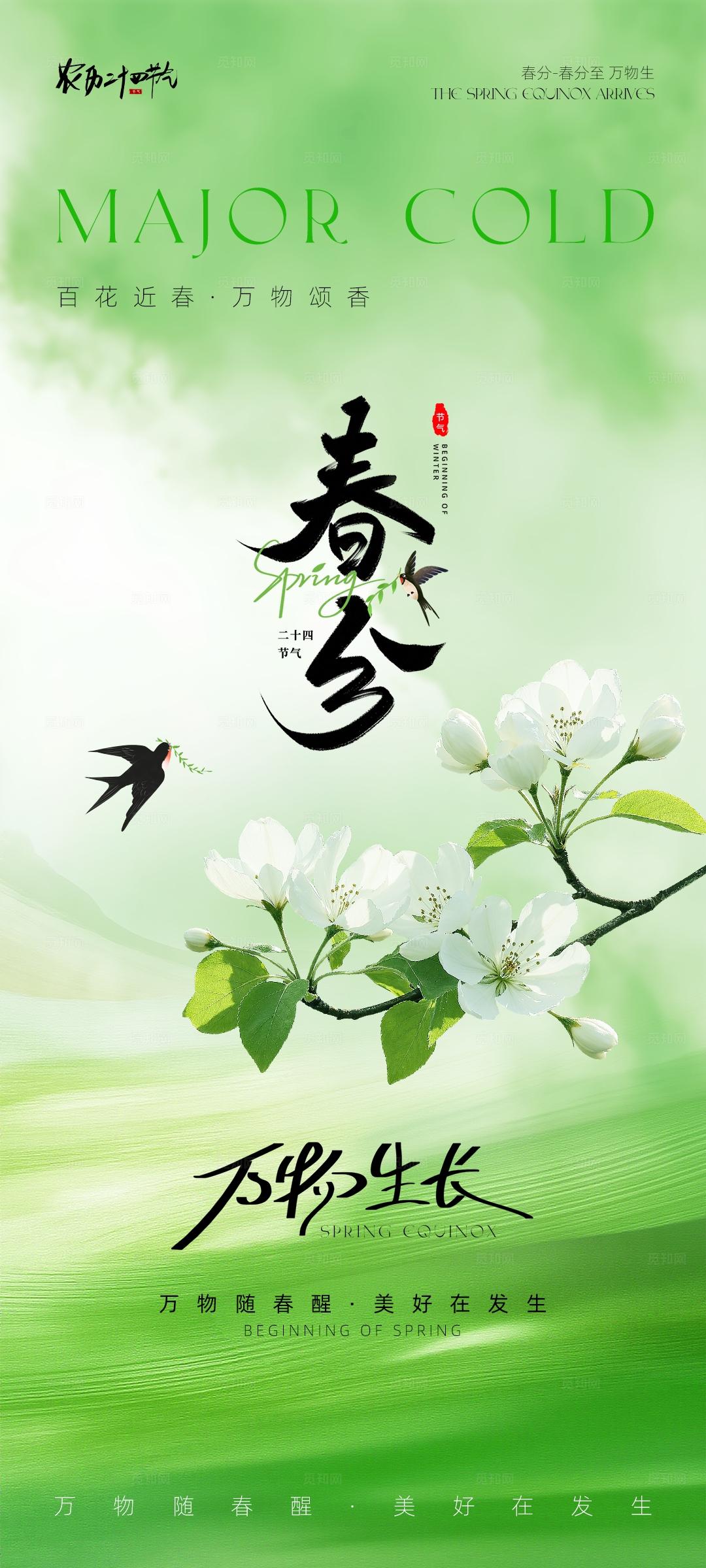 春分节气系列海报