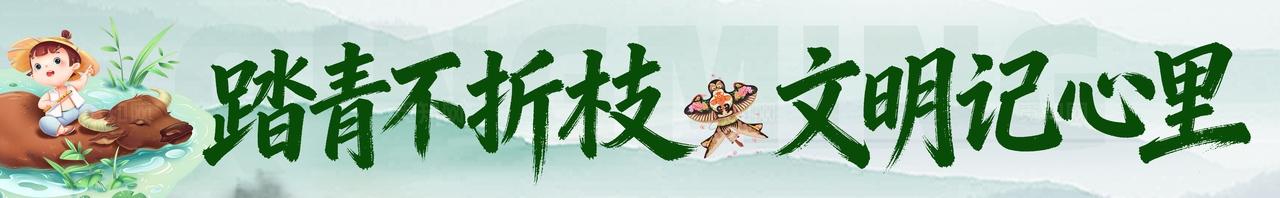 清明节踏青文明踏青活动物料条幅横幅banner