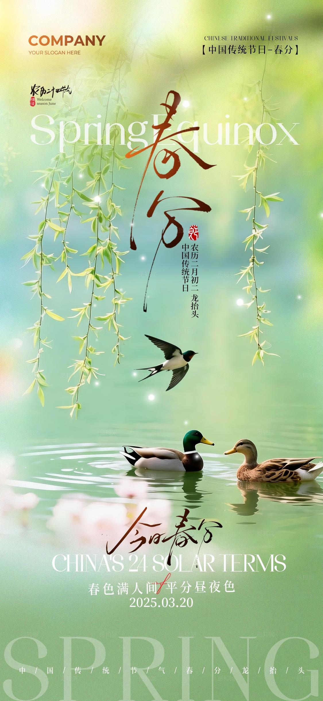 简约实拍风二十四节气春分节气手机宣传海报