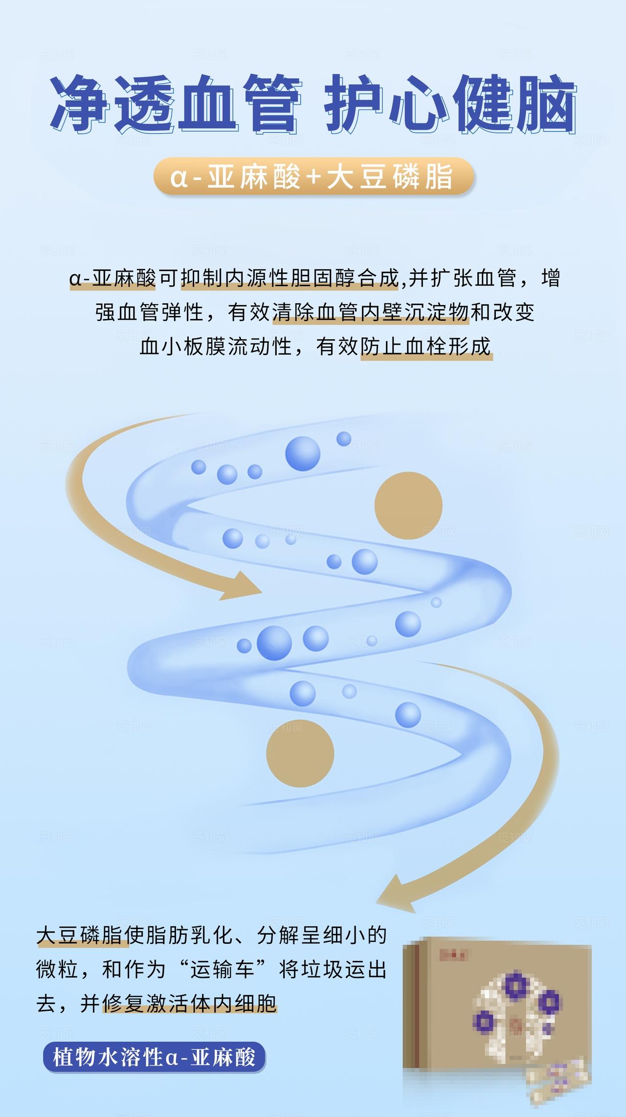 固体饮料清血管降三高肠道产品介绍蓝色海报