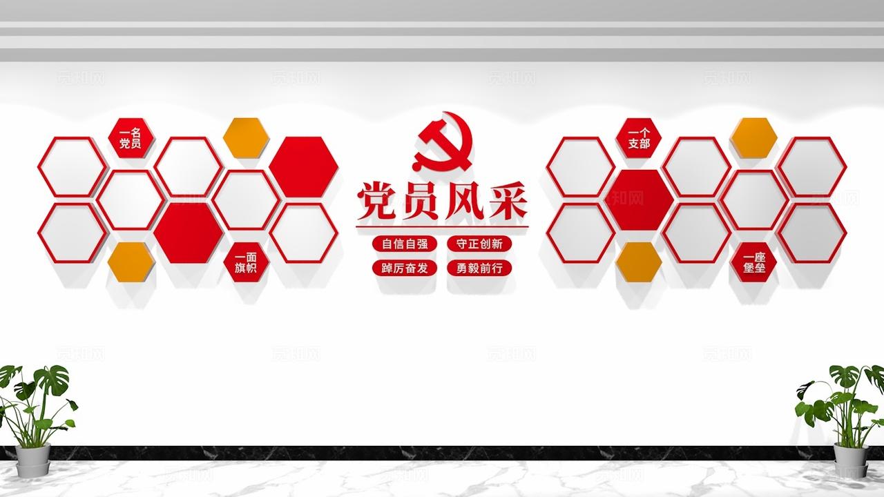 党员活动室优秀党员党员风采照片墙