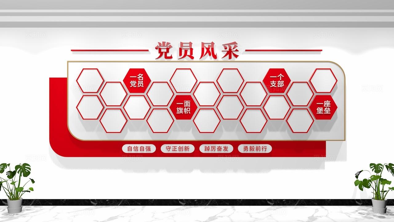 党员风采照片墙党建照片墙