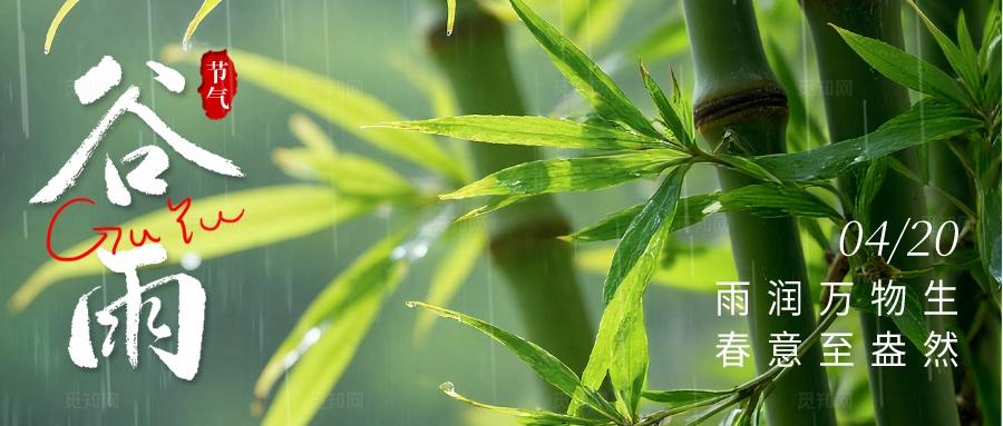 绿色清新谷雨节气二十四节气微信公众号封面
