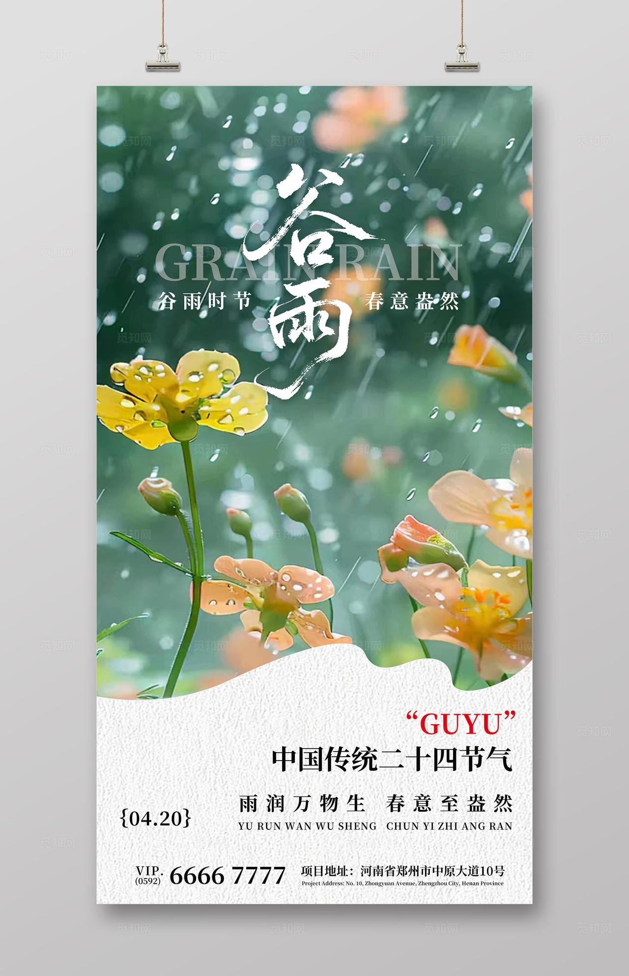 谷雨节气节日海报