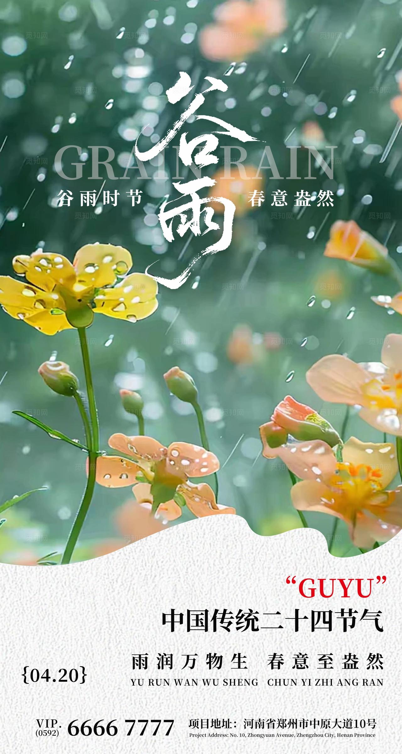 谷雨节气节日海报