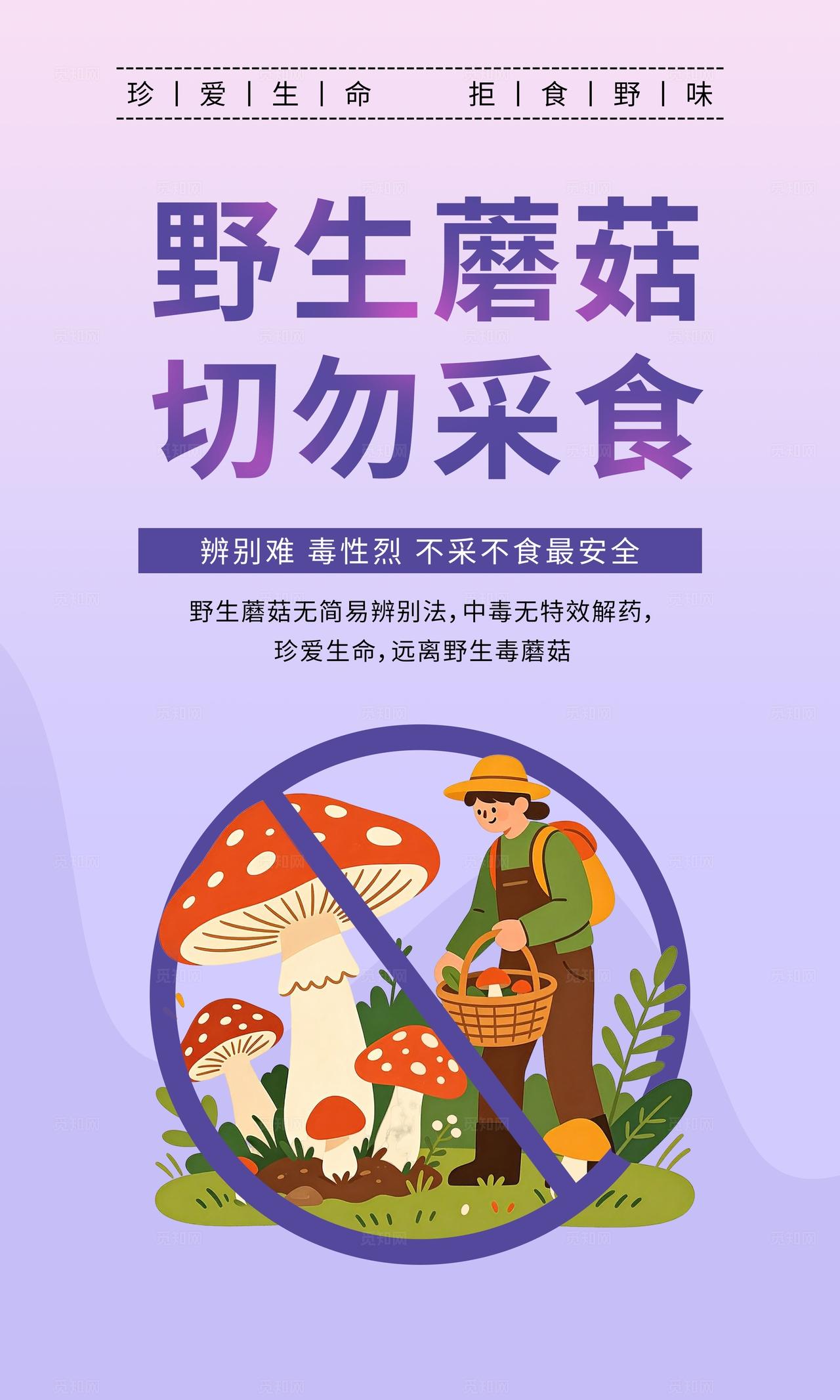 野生蘑菇切勿采食公益宣传海报