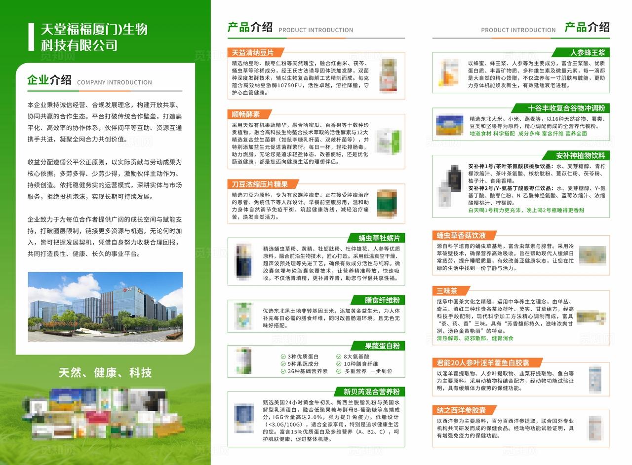 企业介绍文化产品介绍三折页