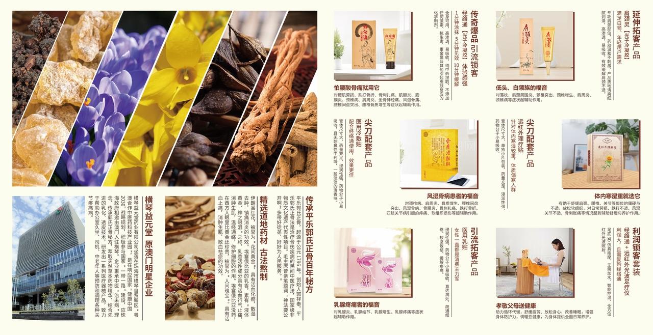 医疗保健品膏贴药膏企业产品介绍四折页展会宣传单