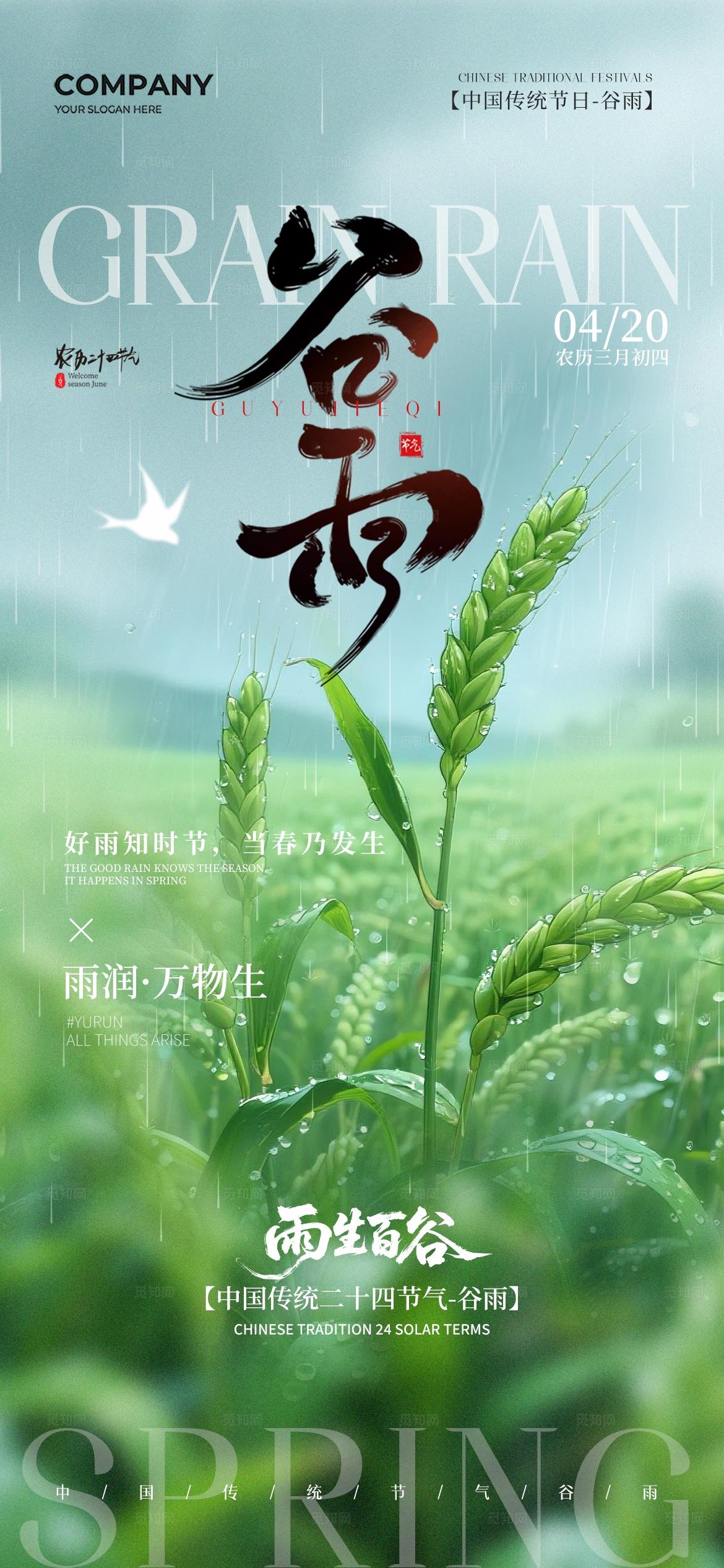 简约实拍风二十四节气谷雨节气手机宣传海报
