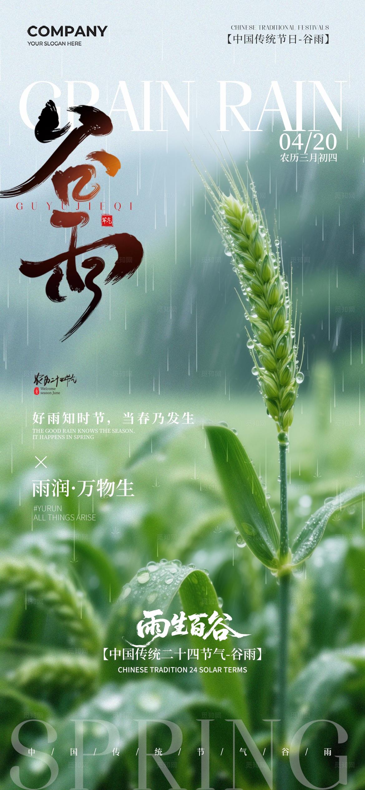 简约实拍风二十四节气谷雨节气手机宣传海报