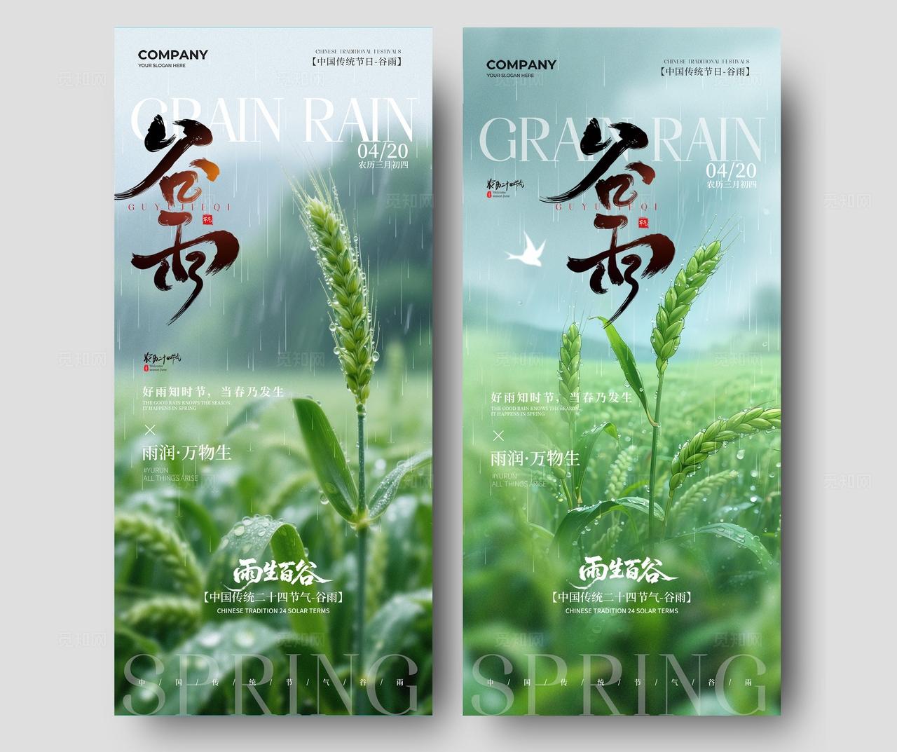 简约实拍风二十四节气谷雨节气手机宣传海报