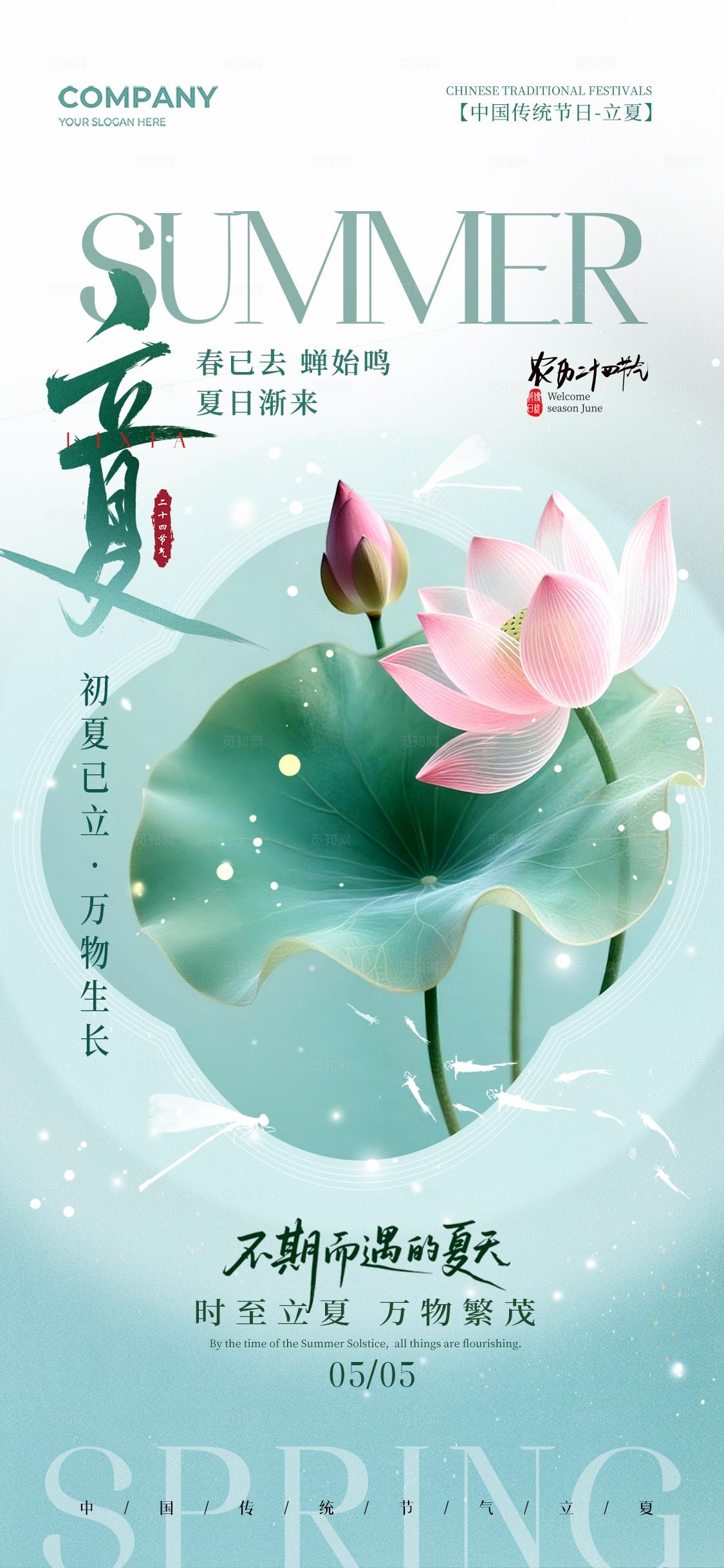 简约荷花二十四节气立夏节气手机宣传海报