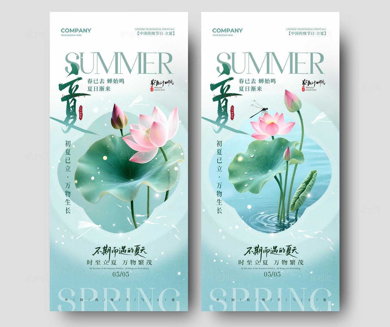 简约荷花二十四节气立夏节气手机宣传海报