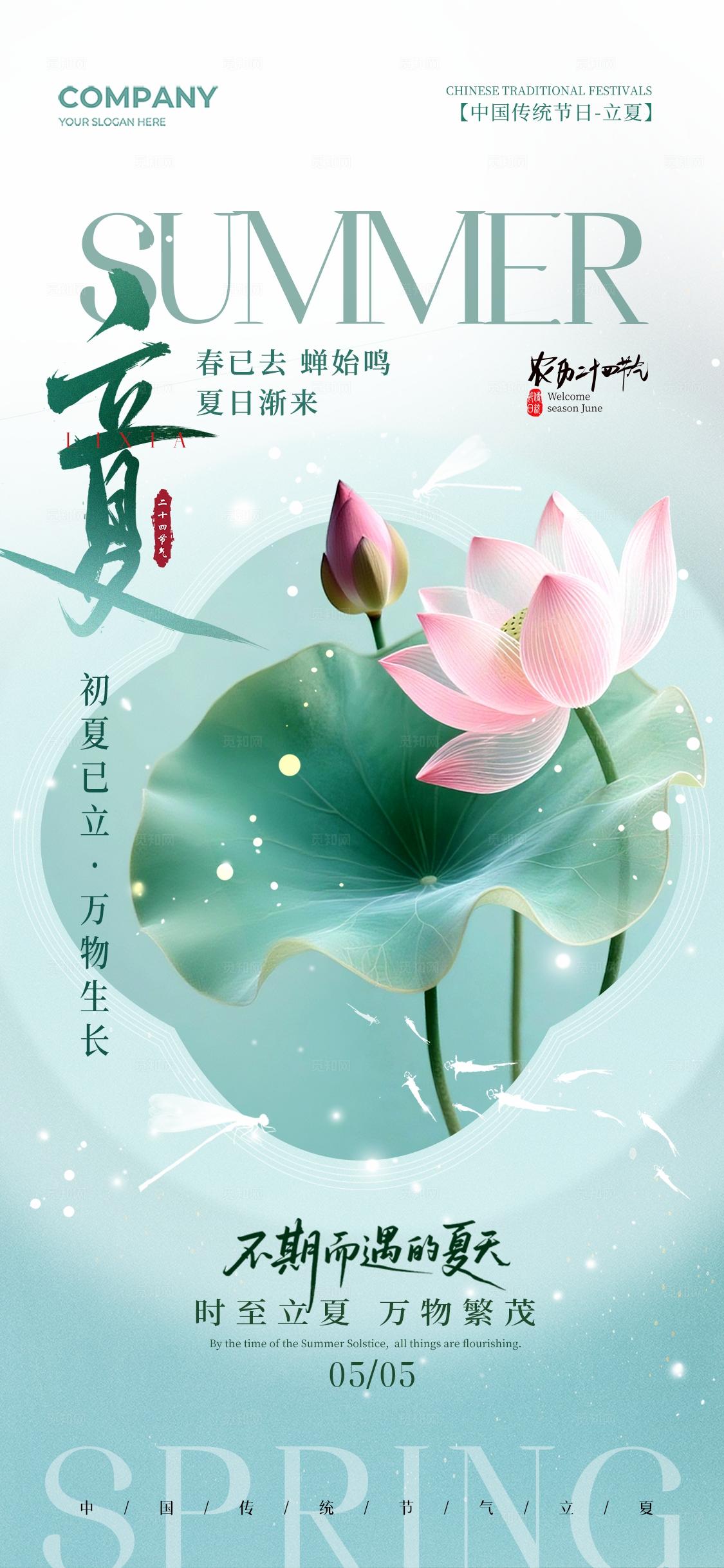 简约荷花二十四节气立夏节气手机宣传海报