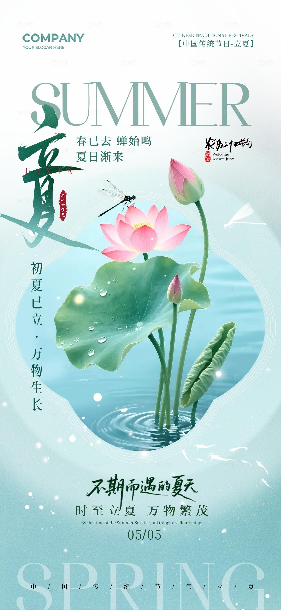 简约荷花二十四节气立夏节气手机宣传海报