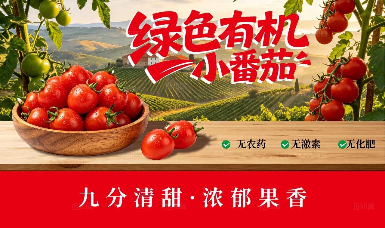 田园西红柿圣女果小番茄展板